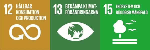 Globala målen (Sustainable Development goals) mål 12 13 15