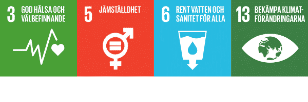 Globala målen (Sustainable Development goals) mål 3 5 6 13