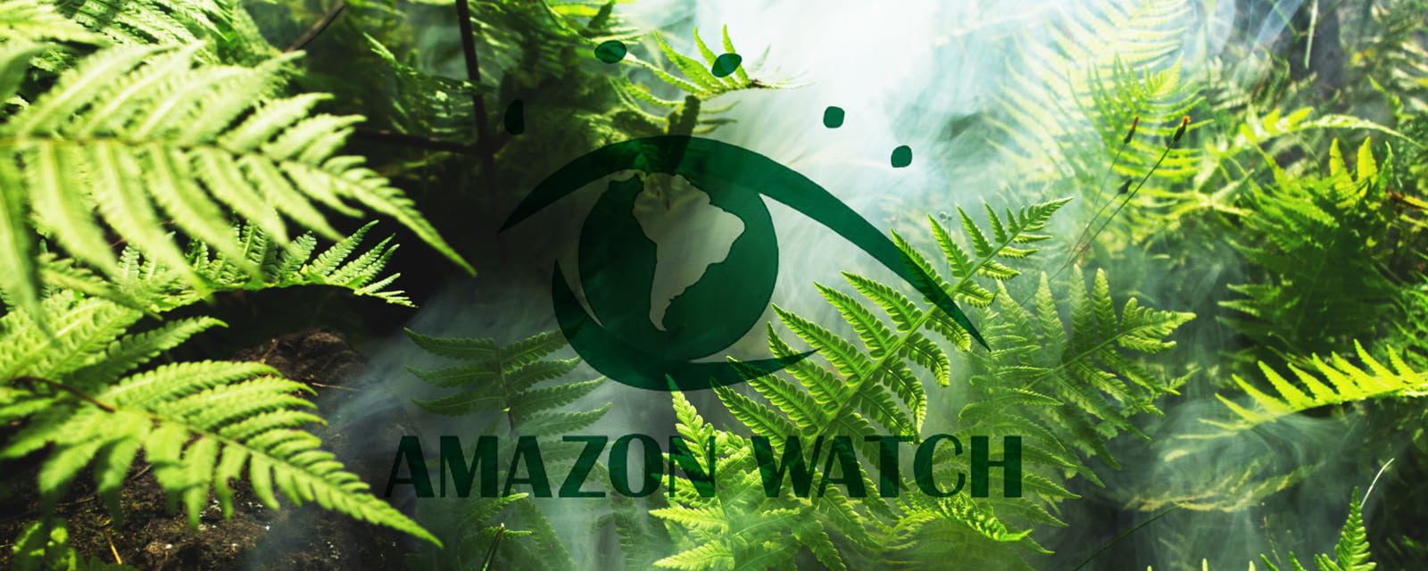 amazon watch