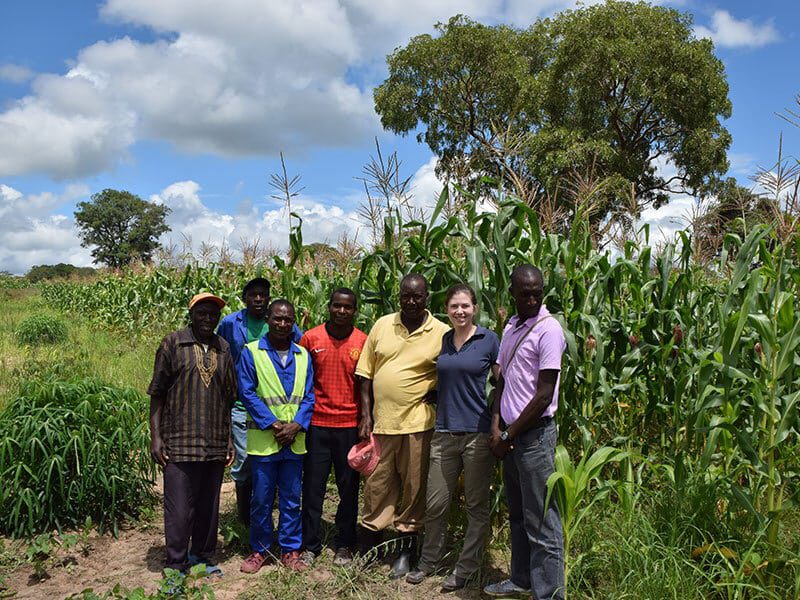 Zambia Community Agroforestry Project REDD+